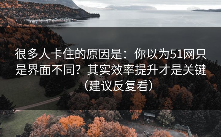 很多人卡住的原因是:你以为51网只是界面不同?其实效率提升才是关键(建议反复看) 很多人卡住的原因是:你以为51网只是界面不同?其实效率提升才是关键(建议反复看)