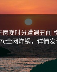 圈内人在傍晚时分遭遇丑闻 引发联想，17c全网炸锅，详情发现