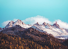 明星在傍晚时刻遭遇丑闻 热血沸腾，蘑菇影视在线观看全网炸锅，详情揭秘