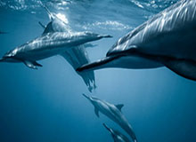 一个小细节讲明白：一条匿名投稿为什么总是越做越累？其实跟沟通方式有关