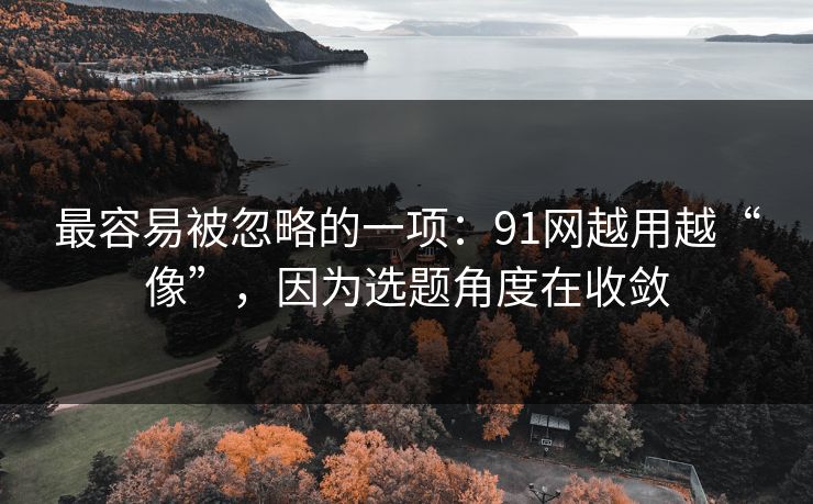 最容易被忽略的一项：91网越用越“像”，因为选题角度在收敛